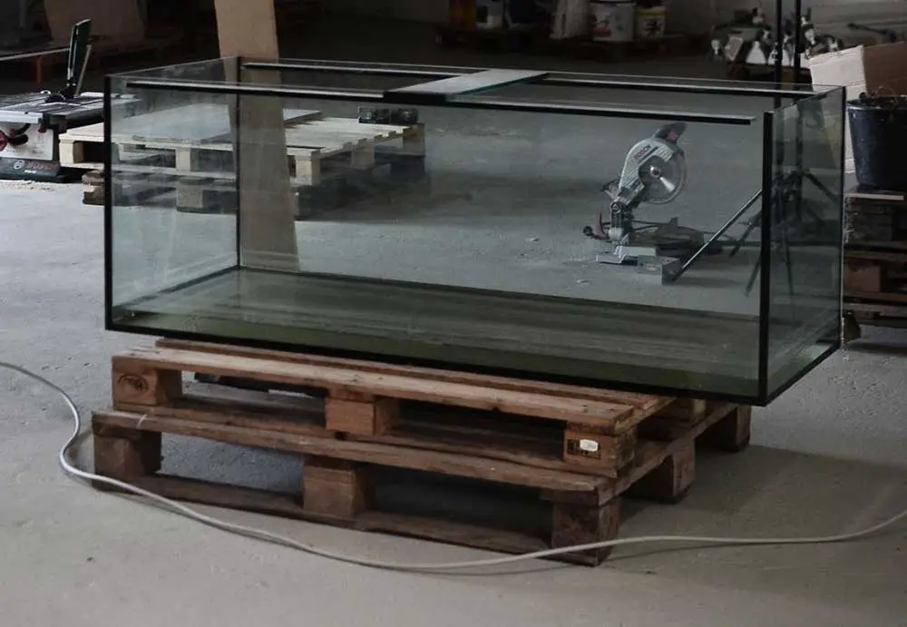 You Need A 55 Gallon Aquarium Stand – Read On!