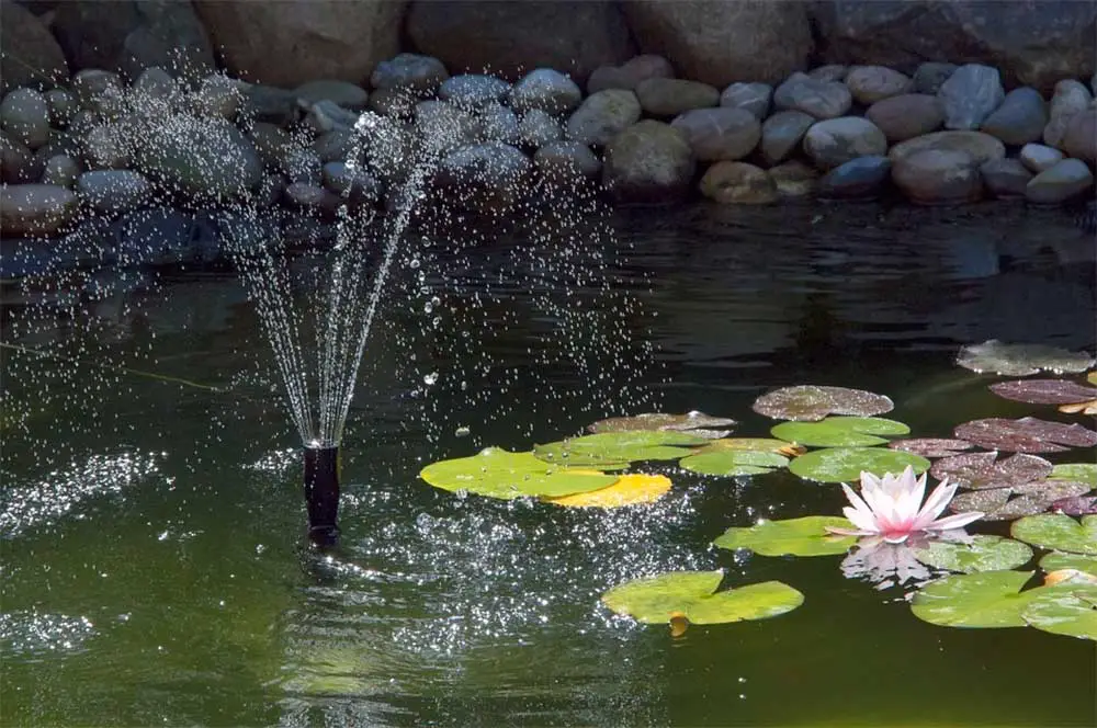 The Top 6 Best Fountains for Ponds of All Sizes