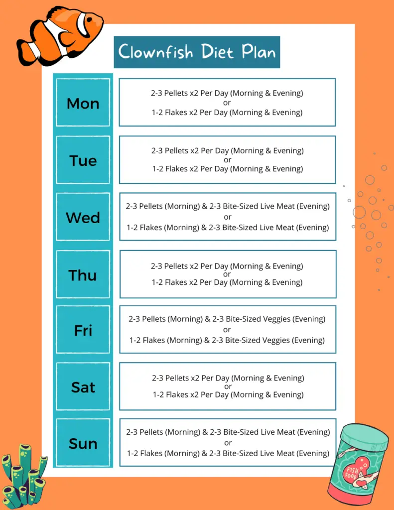 clownfish-diet-what-do-they-eat-and-how-often-should-they-be-fed