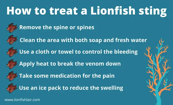How to treat a lionfish sting