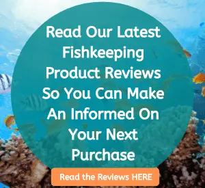 Lionfish Lair Fishkeeping Product Reviews