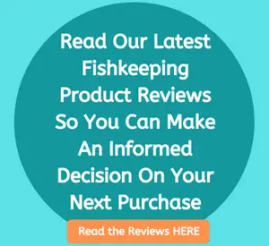 Lionfish Lair Fishkeeping Product Reviews