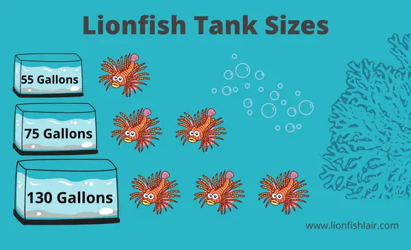 Lionfish tank size