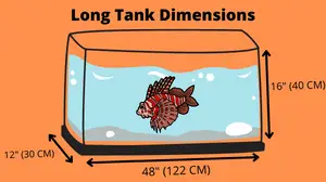Long tank dimensions